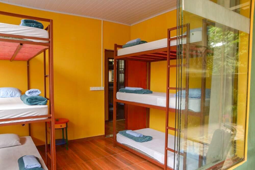Hostel Mpb Ilha Grande Exteriér fotografie